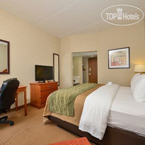 Comfort Inn Mansfield 