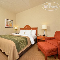 Comfort Inn Mansfield 