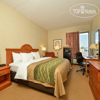 Comfort Inn Mansfield 