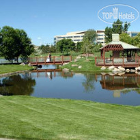 Hilton Garden Inn Denver South/Meridian 