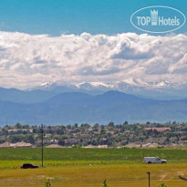 Hilton Garden Inn Denver South/Meridian 