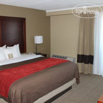 Comfort Inn Central Denver 