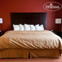 Comfort Suites North Fort Wayne Номер