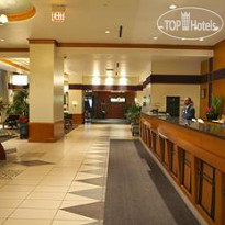 Hilton Garden Inn Chicago Downtown Magnificent Mile 