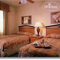 City Suites 