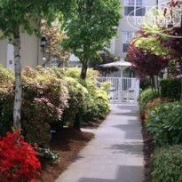 Homewood Suites Seattle - Tacoma Airport Tukwila 