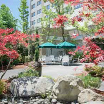 Radisson Hotel Gateway Seattle - Tacoma Airport 
