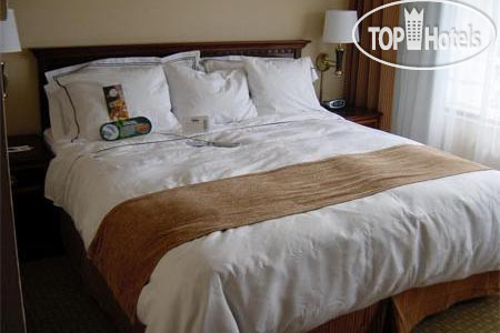 Новые добавленные фото туристов Radisson Hotel Gateway Seattle - Tacoma Airport 3*