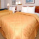 Comfort Inn & Suites Seattle 