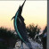 Charleston Harbor Resort And Marina Рыба-меч