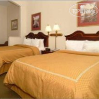Comfort Suites New Orleans Hotel 