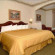 Comfort Suites New Orleans Hotel 