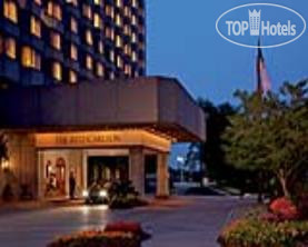 Фотографии отеля  The Ritz-Carlton Buckhead 5*