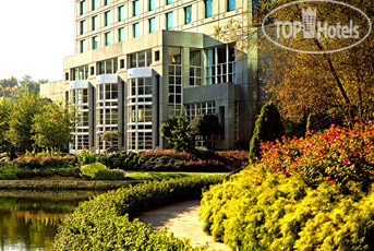 Фотографии отеля  The Westin Atlanta North at Perimeter 4*