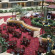 Embassy Suites Hotel Atlanta - Galleria 