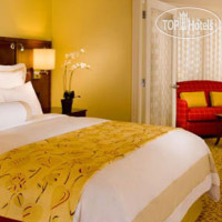 Atlanta Buckhead Hotel 4*