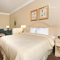 Comfort Suites Kingwood Humble IAH Airport