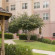 Homewood Suites by Hilton Dallas-DFW Airport N-Grapevine 