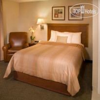 Candlewood Suites Houston Iah / Beltway 8 