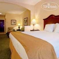 Holiday Inn Express Hotel & Suites San Antonio South 