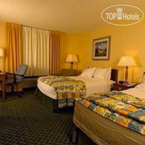 Fairfield Inn & Suites Dallas DFW Airport North/Grapevine 