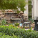 Hilton Garden Inn DFW Airport South 