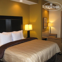 Best Western Regency Inn & Suites 