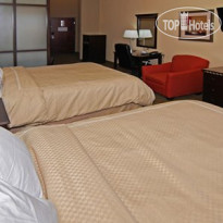 Comfort Suites Palestine 