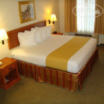 Best Western Executive Inn & Suites 