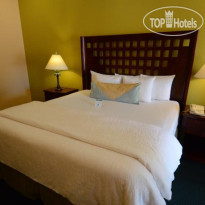 La Copa Inn Beach Resort