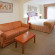 Holiday Inn Express Hotel & Suites Dallas - Grand Prairie I-20 