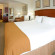 Holiday Inn Express Hotel & Suites Dallas - Grand Prairie I-20 