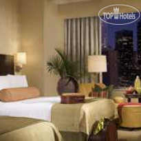 Hilton Americas Houston 