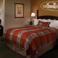 Staybridge Suites Houston Galleria Area 