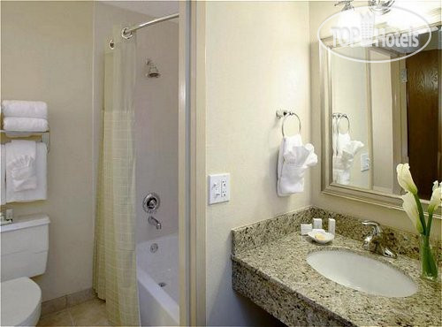 Новые добавленные фото туристов Holiday Inn Houston Southwest Highway 59S Beltway 8 3*