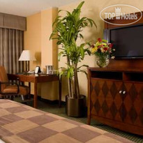 Hilton Houston Southwest номер