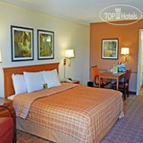 La Quinta Inn Houston Cyfair
