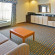 Holiday Inn Express Hotel & Suites Stemmons Fwy 