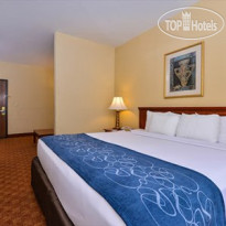 Comfort Suites North Fossil Creek Номер