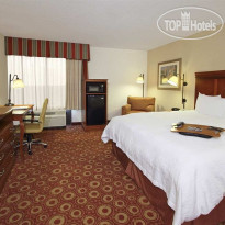 Hampton Inn Austin Airport Area South
