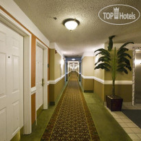 La Quinta Inn & Suites Brownsville North