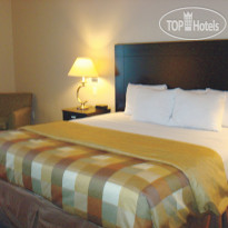 La Quinta Inn & Suites Pharr - Rio Grande Valley