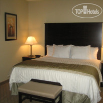 La Quinta Inn & Suites San Antonio The Dominion 