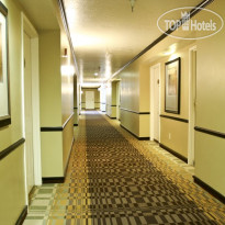 Best Western Plus CottonTree Inn North Salt Lake 