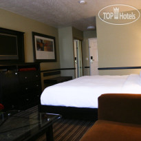 Best Western Plus CottonTree Inn North Salt Lake 