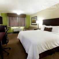 Best Western Plus CottonTree Inn North Salt Lake 