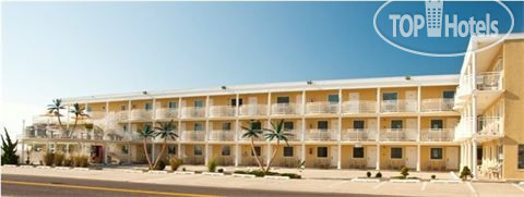 Coliseum Ocean Resort