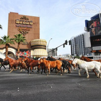 The LINQ Hotel & Casino 