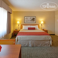 Best Western Plus Royal Palace Inn and Suites 