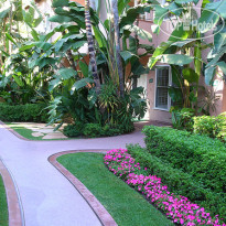 Beverly Hills hotel & Bungalows 